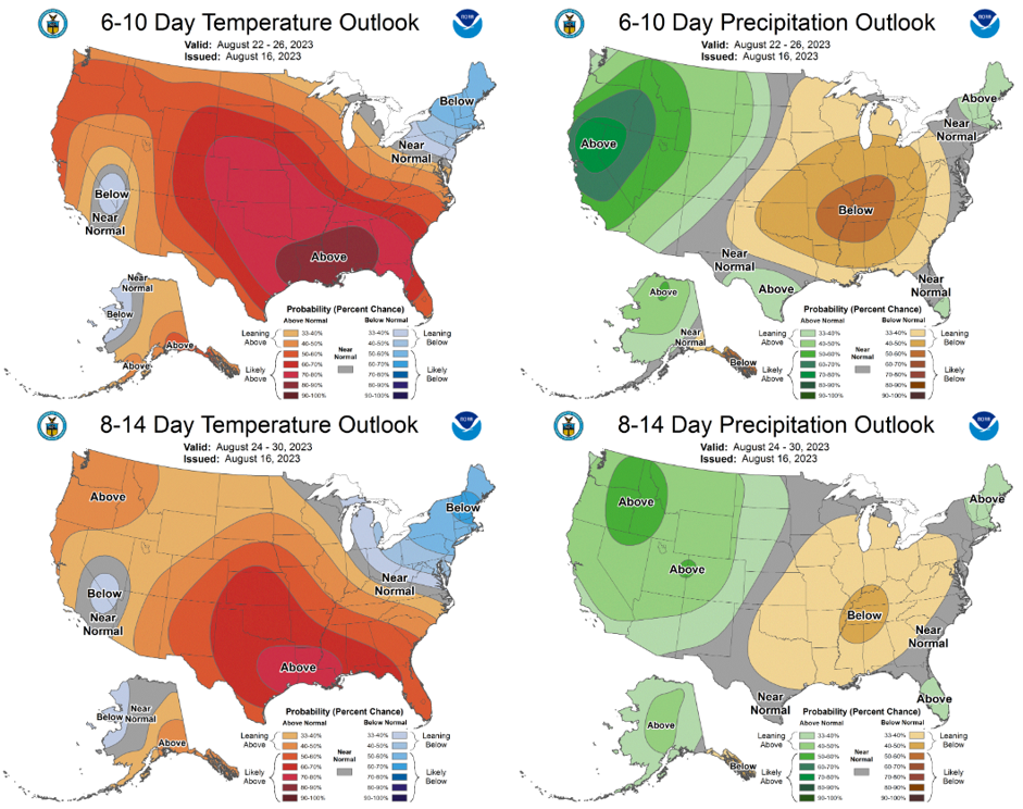 The 6-10 and 8-14 day outlooks.